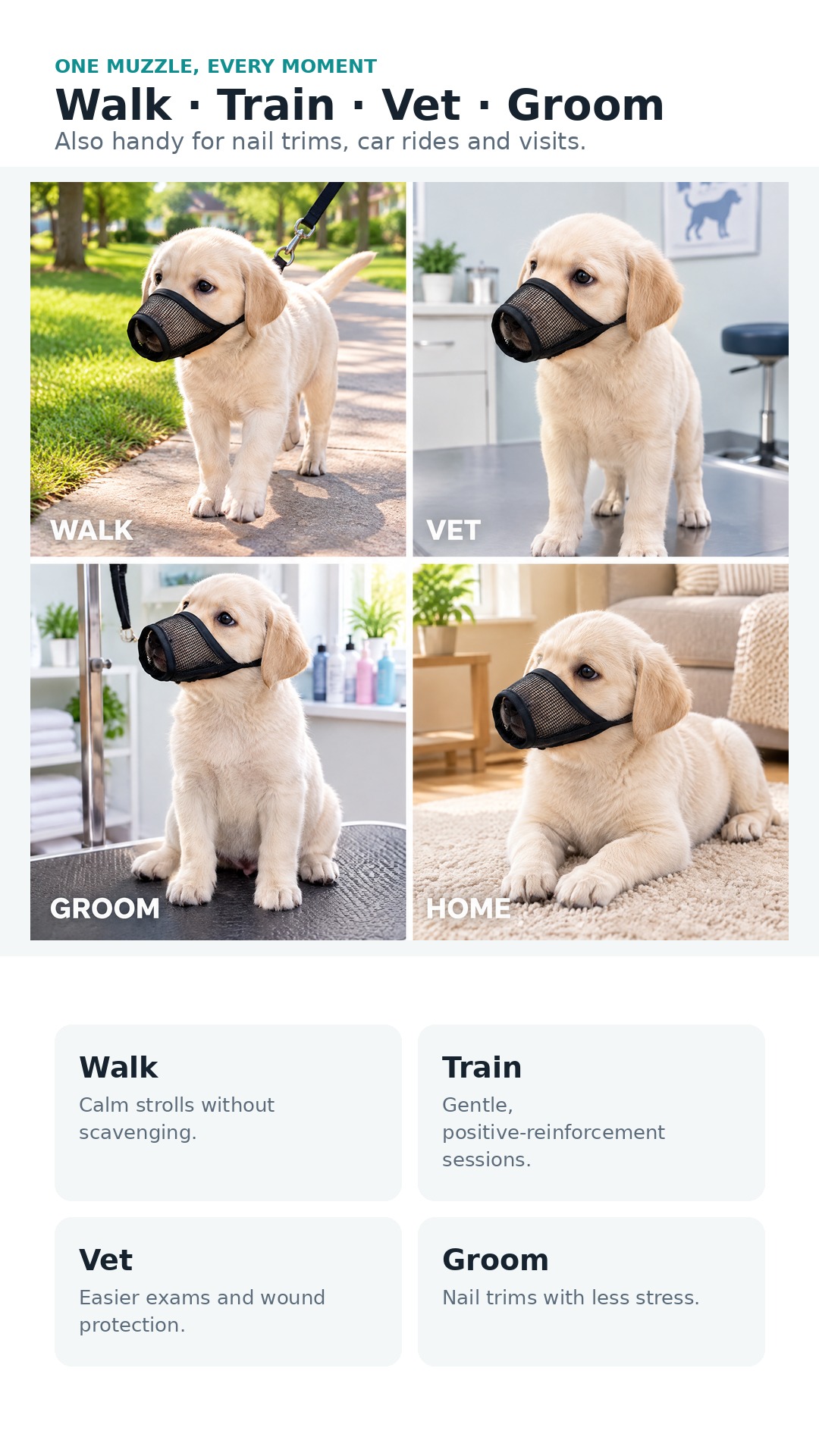 Made for walks, training, vet visits, grooming and nail trims